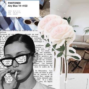 Meet your Posher, Ariana